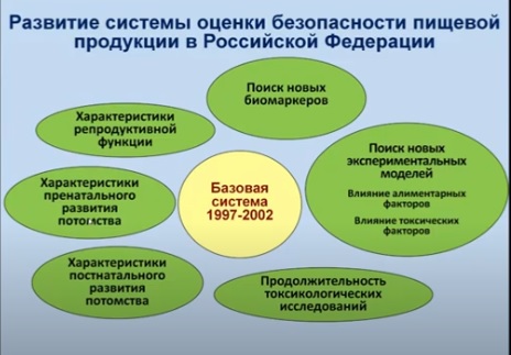 Кругляшка 3