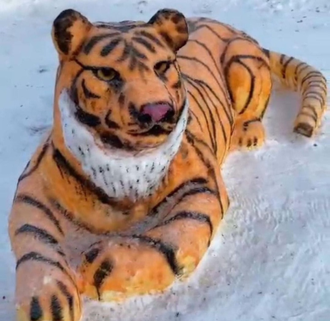 2 31