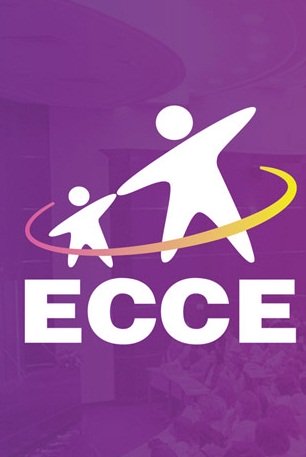 ecce2020 anonce proekt online dec