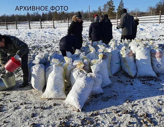 субботник1
