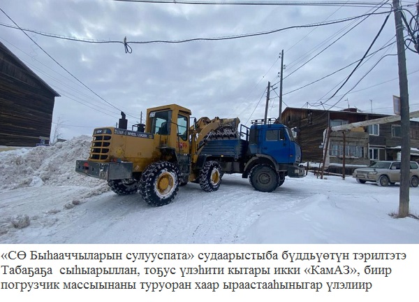 снег_-2.jpeg