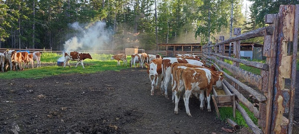 Августина_--_2.jpeg