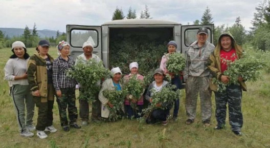 вет_сана_--4.jpg