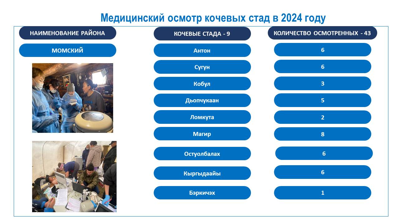 ПРЕЗЕНТАЦИЯ_ПО_КОЧЕВЫМ_СТАДАМ_2024_испр_6.jpg