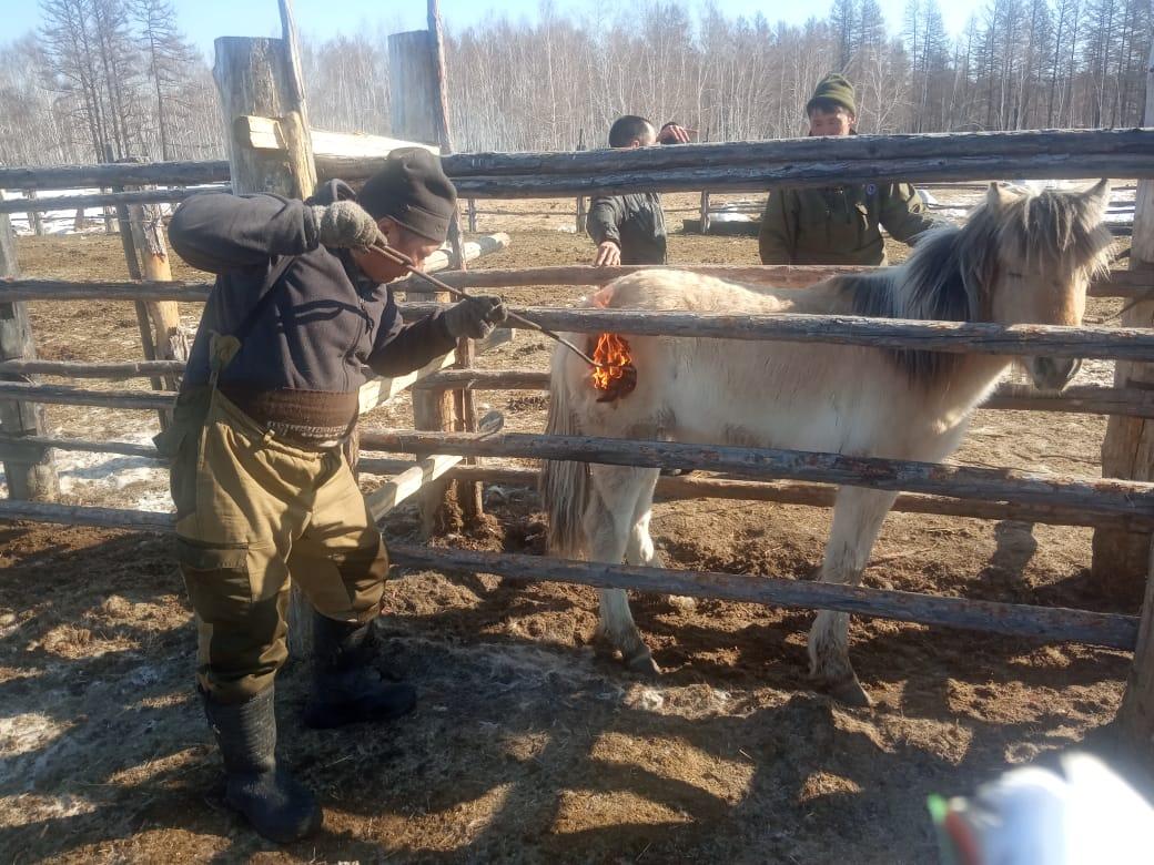 тыа дьоно3 копия