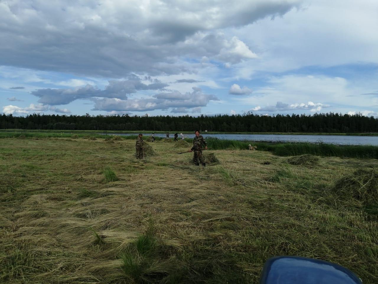 Мэйик отчуттара 8