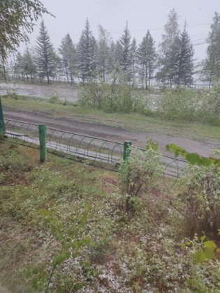 нюрба