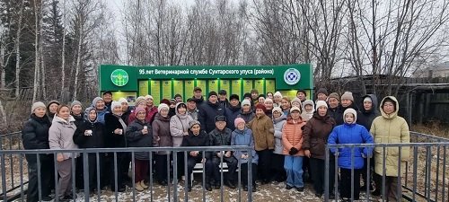 вет все