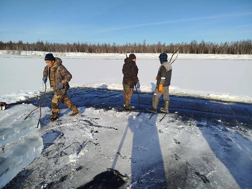 тату муус