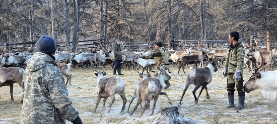 таба_2.jpg